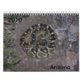 Schnappschüsse Kalender (Titelbild)