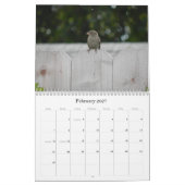 Schnappschüsse vom Kalender des lustigen (Feb 2027)