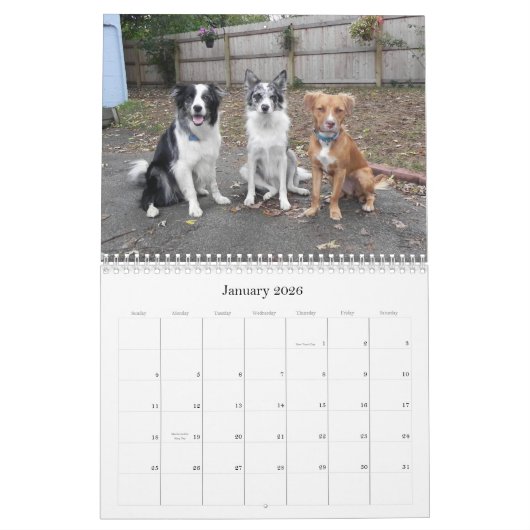 Schnappschüsse vom Kalender des lustigen (Jan 2026)