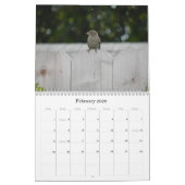 Schnappschüsse vom Kalender des lustigen (Feb 2026)