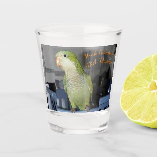 Schnapsglas mit QuäkerParakeetmotiv (Vorderseite)