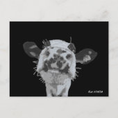 Schnauzenstupser, Tier Postkarte (Vorderseite)