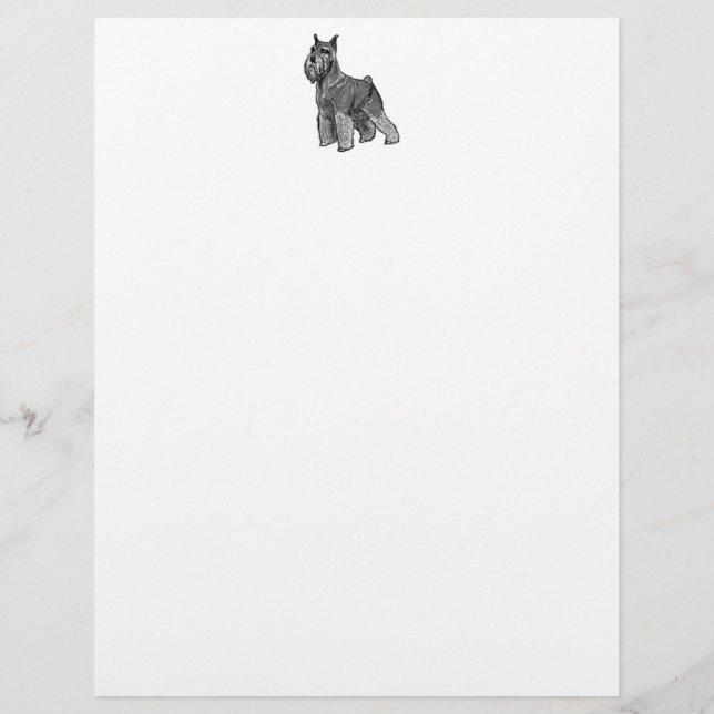 Schnauzer (Vorderseite)