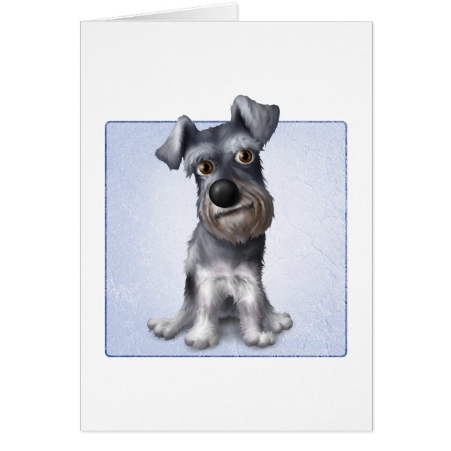 Schnauzer (Vorne)