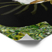 Schnauzer 11N - Mona Lisa Poster (Ecke)