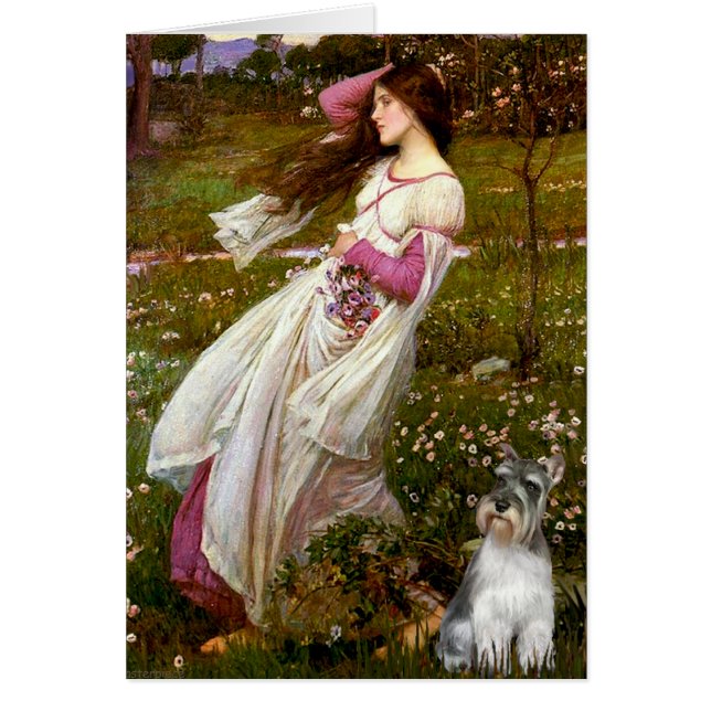 Schnauzer 11N - Windblumen (Vorne)