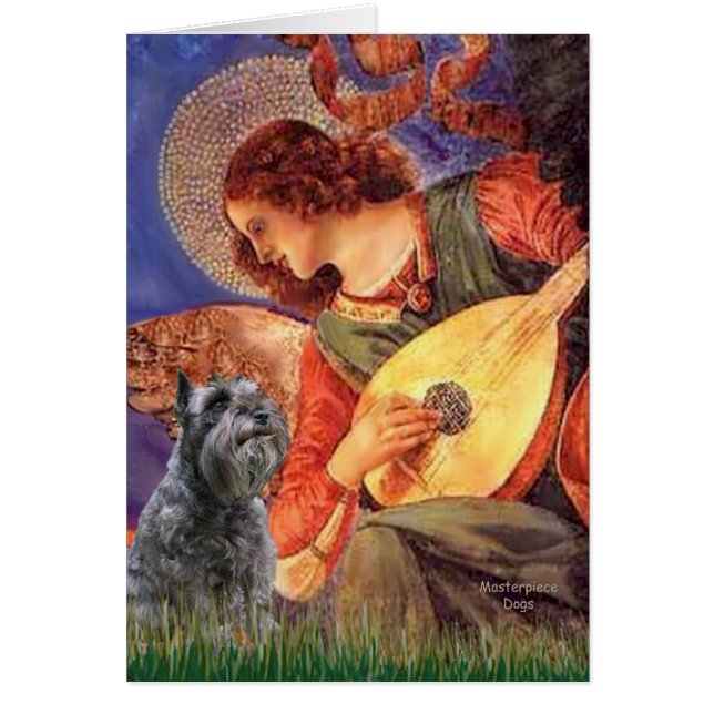 Schnauzer 12 - Mandolin Angel (Vorne)