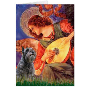 Schnauzer 12 - Mandolin Engel