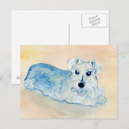 Schnauzer Andy Postkarte (Vorne/Hinten)