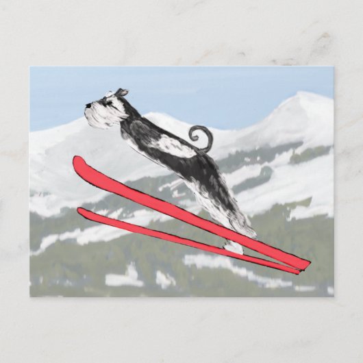 Schnauzer auf Skis! Postkarte (Vorderseite)