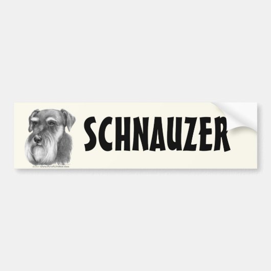 Schnauzer Autoaufkleber (Vorne)