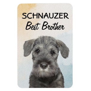 Schnauzer Best Brother Magnet