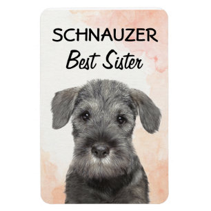 Schnauzer Best Sister Magnet
