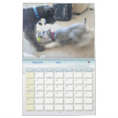 Schnauzer Calander Kalender (Feb 2027)