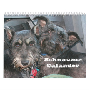 Schnauzer Calander Kalender