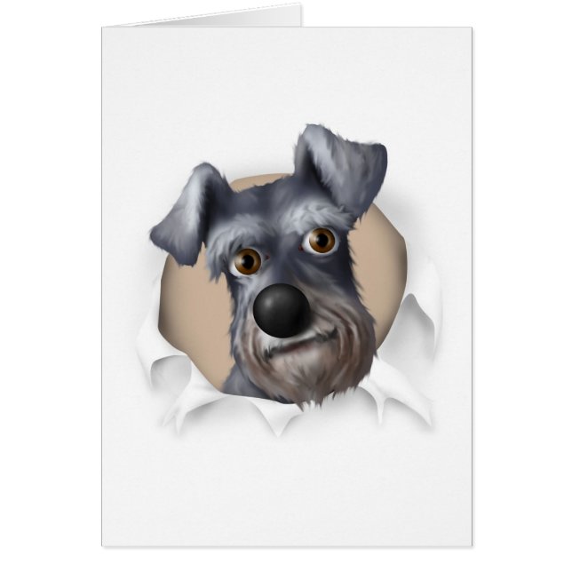 Schnauzer, der heraus sprengt (Vorne)
