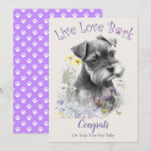 Schnauzer Dog Adoption, Gotcha Day