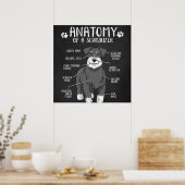 Schnauzer Dog Anatomy Best Dog Poster (Küche)