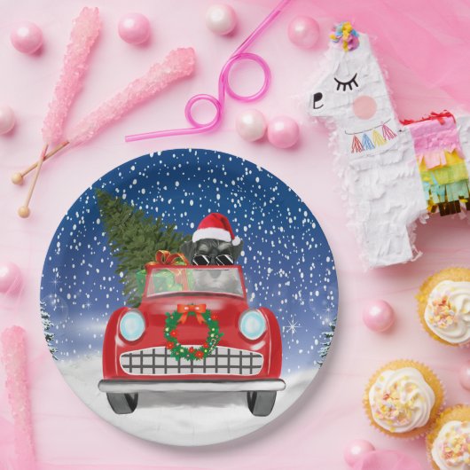 Schnauzer Dog Autofahrer im Schnee Weihnachten Pappteller (Party)