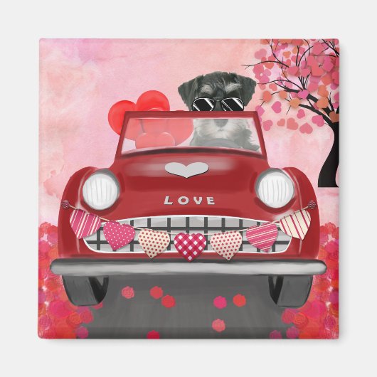 Schnauzer Dog Car mit Herz-Valentine Magnet (Vorne)