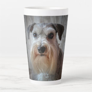 Schnauzer Dog Face Milchtasse