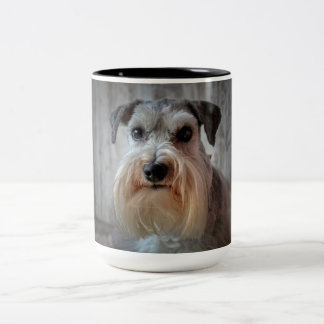 Schnauzer Dog Face Zweifarbige Tasse