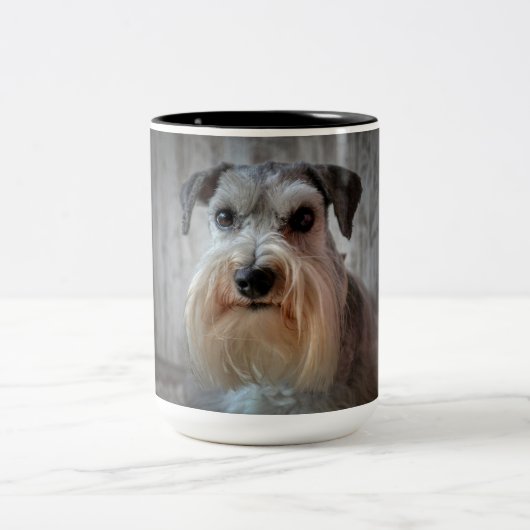 Schnauzer Dog Face Zweifarbige Tasse (Mittel)