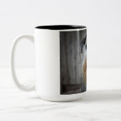 Schnauzer Dog Face Zweifarbige Tasse (Links)