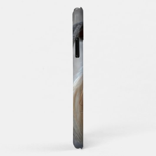 Schnauzer-Dog-Gesicht Case-Mate iPhone Hülle (Hinten/Rechts)