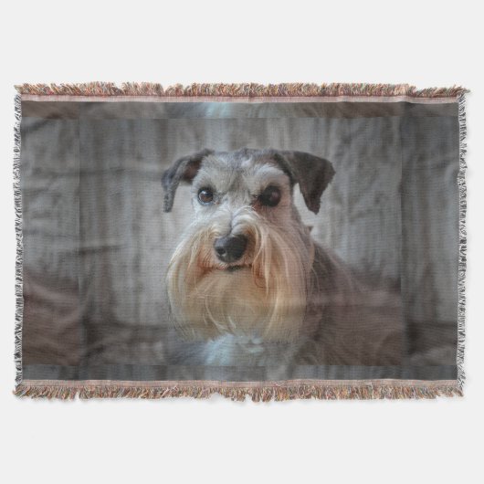 Schnauzer-Dog-Gesicht Decke (Vorderseite)
