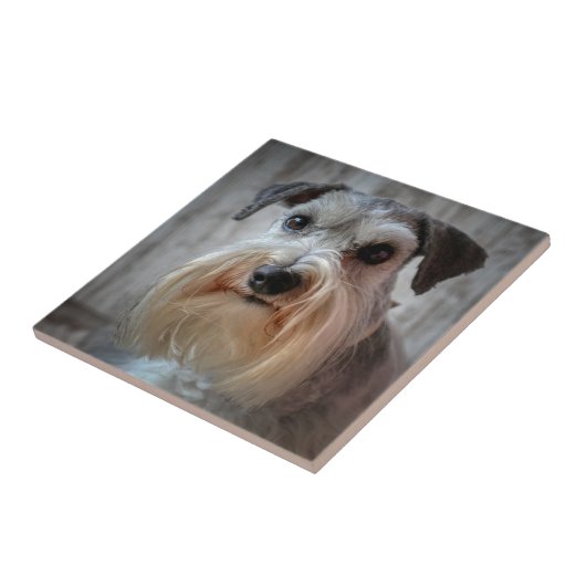 Schnauzer-Dog-Gesicht Fliese (Seite)
