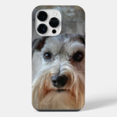 Schnauzer-Dog-Gesicht iPhone Hülle (Rückseite)