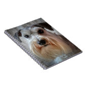 Schnauzer-Dog-Gesicht Notizblock (Rechte Seite)