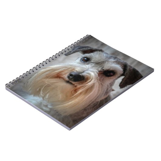 Schnauzer-Dog-Gesicht Notizblock (Linke Seite)