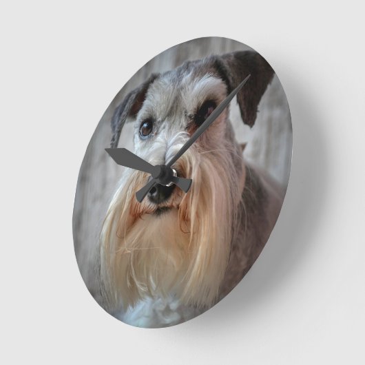 Schnauzer-Dog-Gesicht Runde Wanduhr (Winkel)