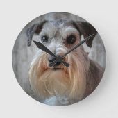Schnauzer-Dog-Gesicht Runde Wanduhr (Vorderseite)