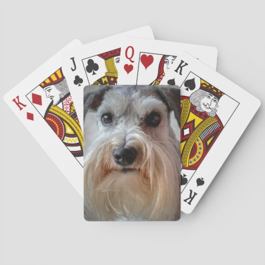 Schnauzer-Dog-Gesicht Spielkarten (Rückseite)