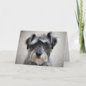 Schnauzer Dog Grußkarte Karte (Vorderseite)