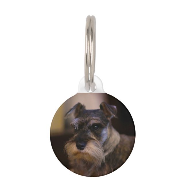 Schnauzer Dog Haustiermarke (Vorderseite)