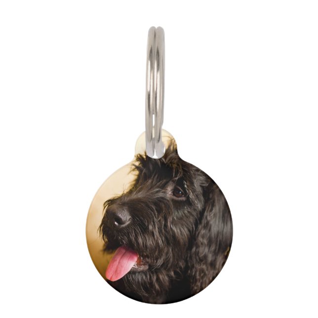 Schnauzer Dog Haustiermarke (Vorderseite)