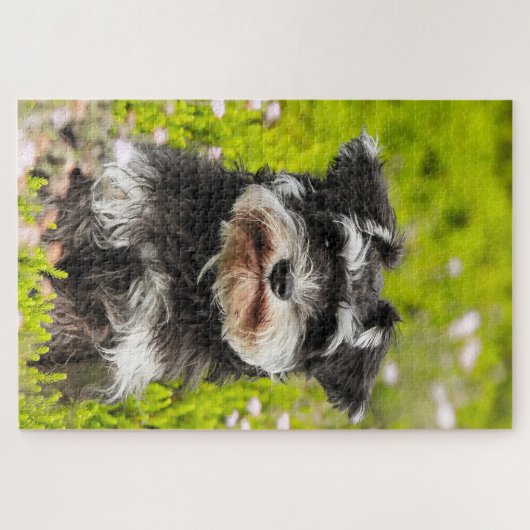 Schnauzer Dog Jigsaws. Puzzle (Horizontal)
