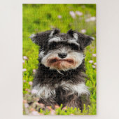 Schnauzer Dog Jigsaws. Puzzle (Vertikal)