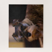 Schnauzer Dog Jigsaws. Puzzle (Vertikal)