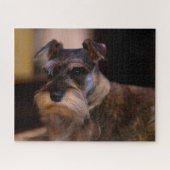 Schnauzer Dog Jigsaws. Puzzle (Horizontal)