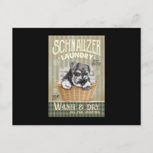 Schnauzer Dog Postkarte