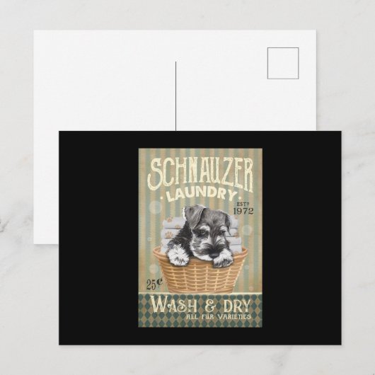 Schnauzer Dog Postkarte (Vorne/Hinten)