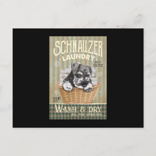 Schnauzer Dog Postkarte (Vorderseite)