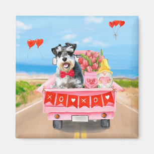 Schnauzer Dog Valentine's Day Lkw Herz Magnet