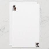 Schnauzer-Felt-Papier-Stationierung Briefpapier (Vorne/Hinten)