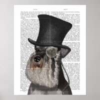 Schnauzer, Festhund und Hut